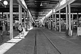 FW Stockyards Aug 2004 04 BW